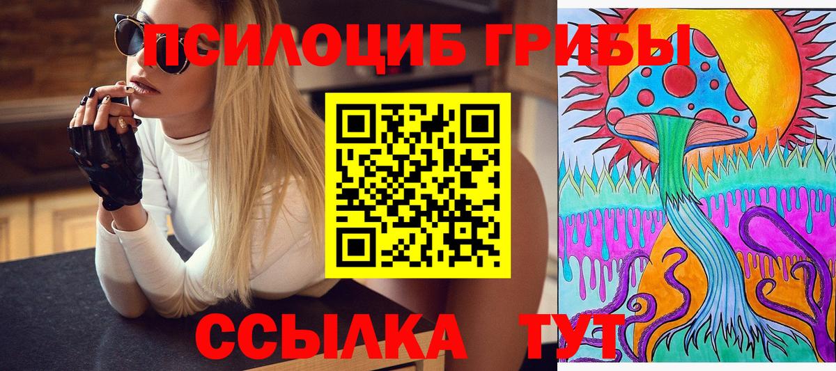 Галлюциногенные грибы мухоморы  как найти наркотики  Новокубанск  Вход с VPN 